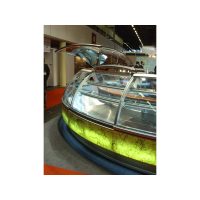 Arevalo Showcases Arevalo Showcases