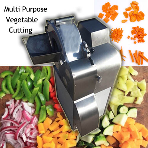 Vegetable cube cutting machine - Food machinery supplier