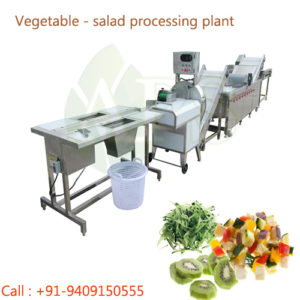 salad cutting washing vegetable machine